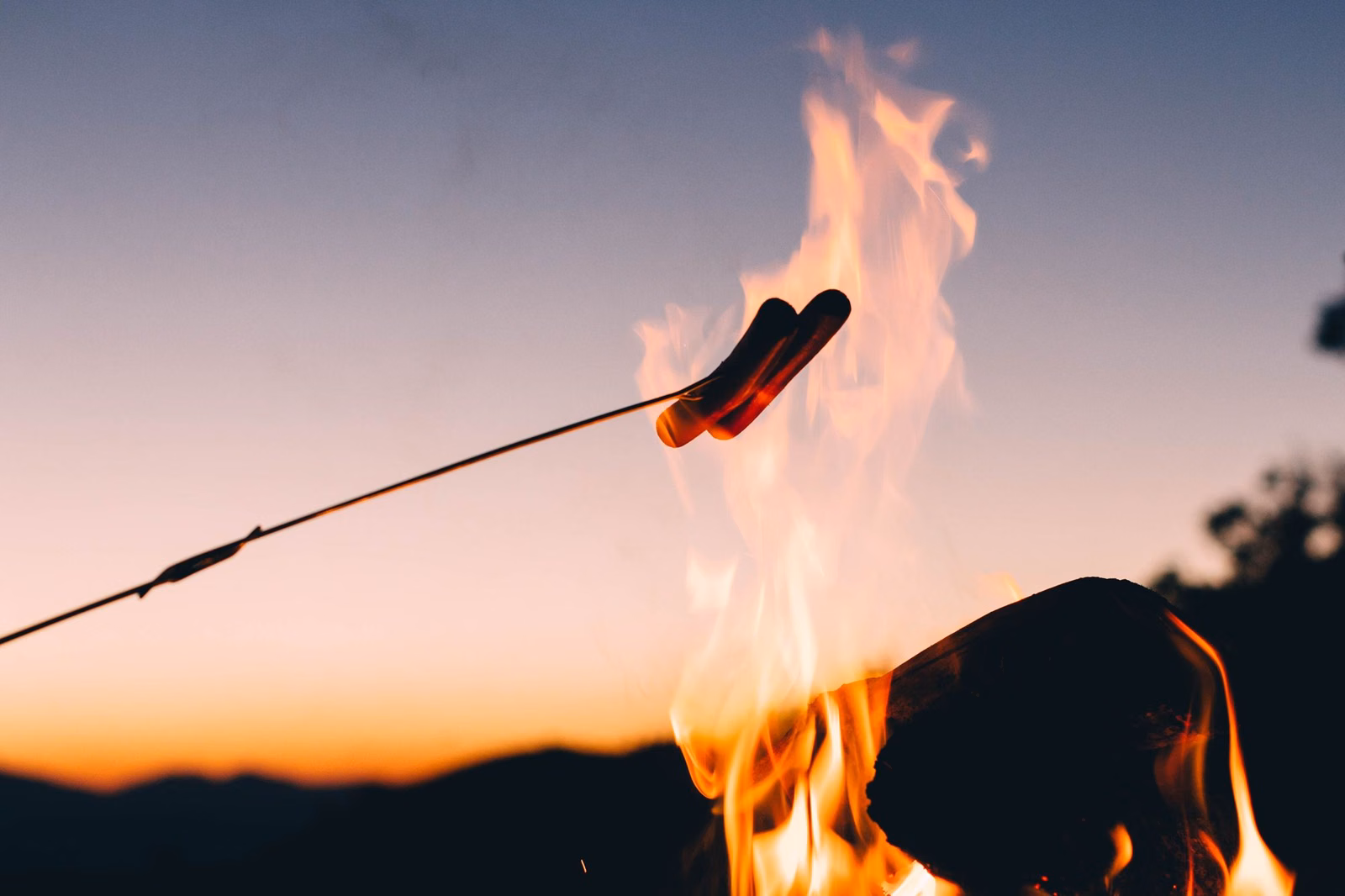 Hot dogs roasting over a campfire against an evening sky